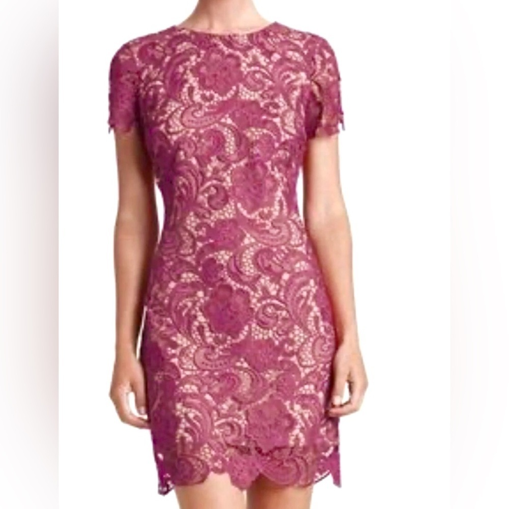 Dress The Population Anna mulberry & nude lace dress size S Cocktail Evening - Picture 9 of 9